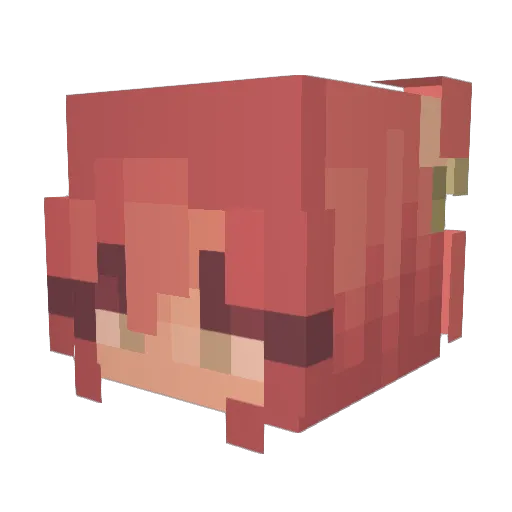 TimOTay2311 Minecraft avatar head, 3D render