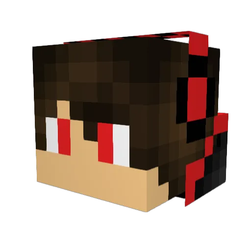 TimPlays10 Minecraft avatar head, 3D render