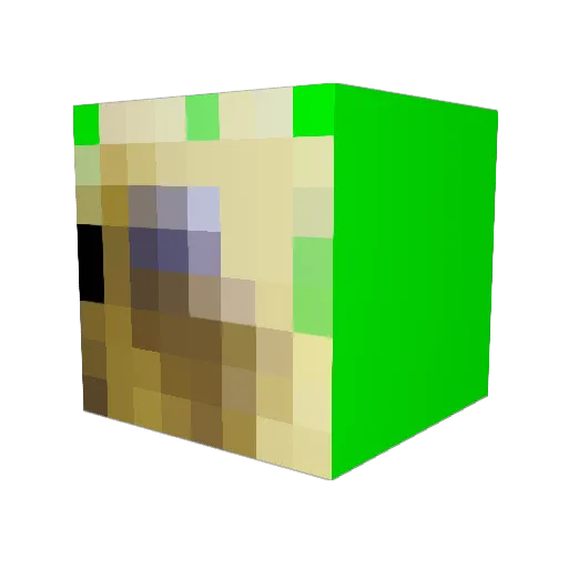 TimRushik Minecraft avatar head, 3D render