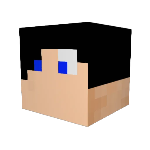 TimS01 Minecraft avatar head, 3D render