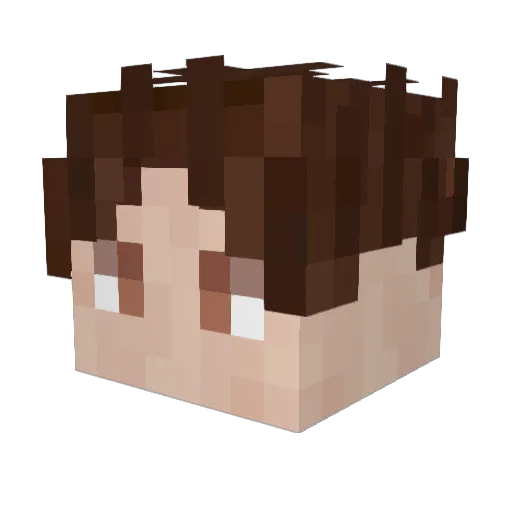 TimS9104 Minecraft avatar head, 3D render