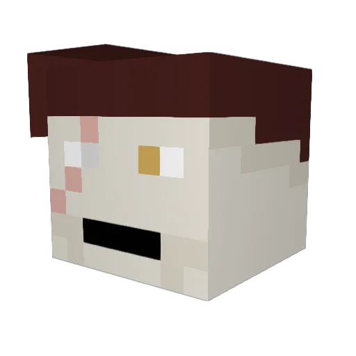 TimSev20 Minecraft avatar head, 3D render