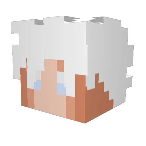 TimStela Minecraft avatar head, 3D render