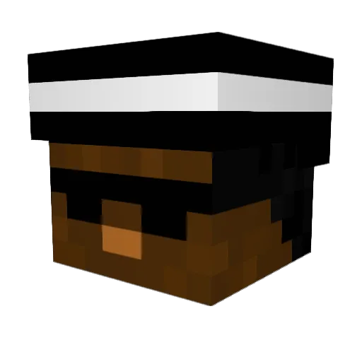 TimStinkt_ Minecraft avatar head, 3D render