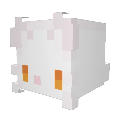 TimTFz Minecraft avatar head, 3D render