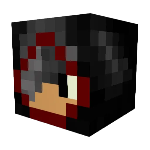 TimTamTheTimTam Minecraft avatar head, 3D render