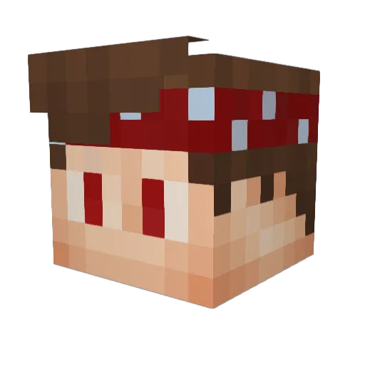TimTiX_2 Minecraft avatar head, 3D render
