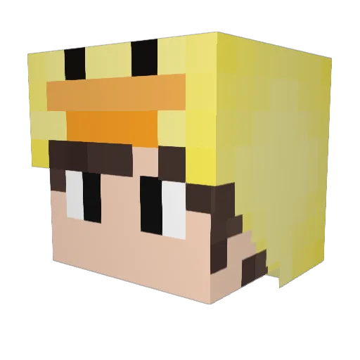 TimZR8891 Minecraft avatar head, 3D render