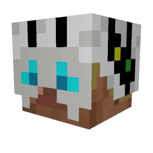 Tim_046 Minecraft avatar head, 3D render
