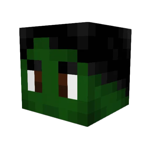 Tim_16 Minecraft avatar head, 3D render
