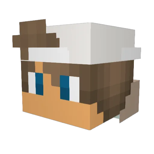 Tim_1812 Minecraft avatar head, 3D render