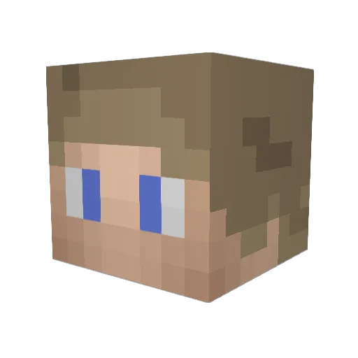 Tim_4711 Minecraft avatar head, 3D render