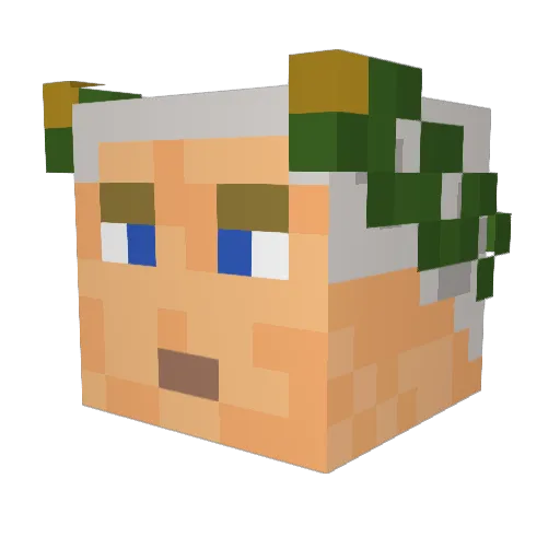 Tim_72 Minecraft avatar head, 3D render