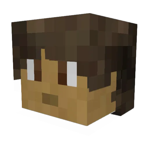 Tim_790 Minecraft avatar head, 3D render