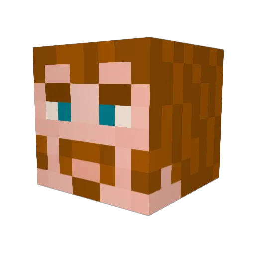 Tim_Barrett Minecraft avatar head, 3D render