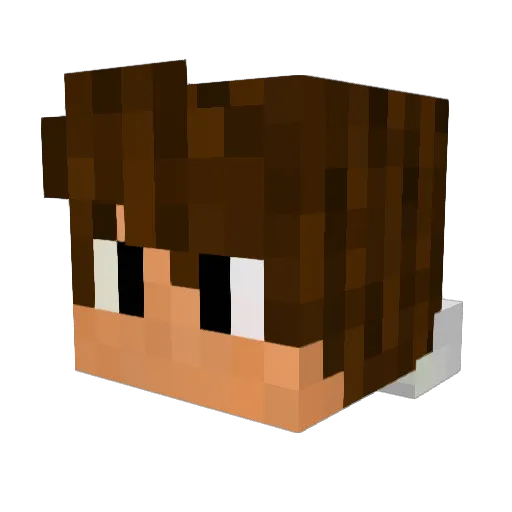 Tim_Gabel17 Minecraft avatar head, 3D render