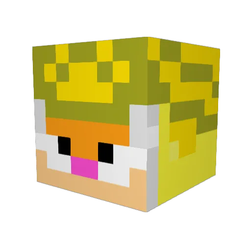 Tim_Jam Minecraft avatar head, 3D render