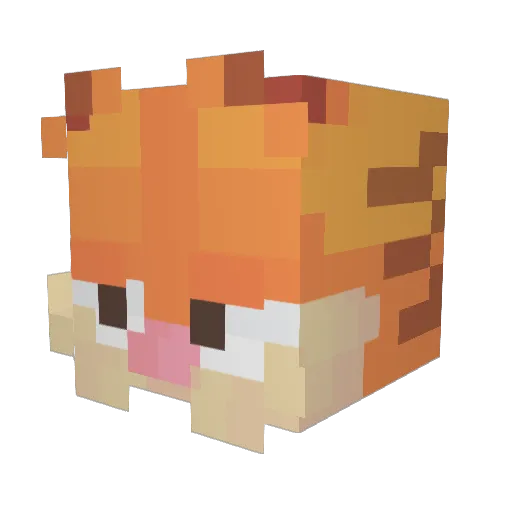 Tim_Raptor Minecraft avatar head, 3D render