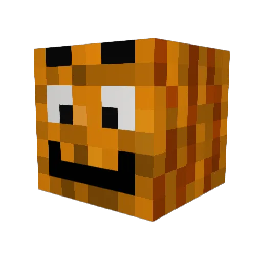 Tim_Tech_Dev Minecraft avatar head, 3D render