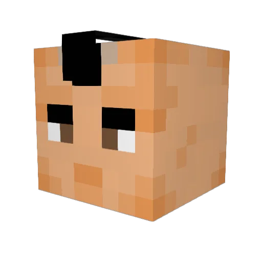 Tim_Yt Minecraft avatar head, 3D render