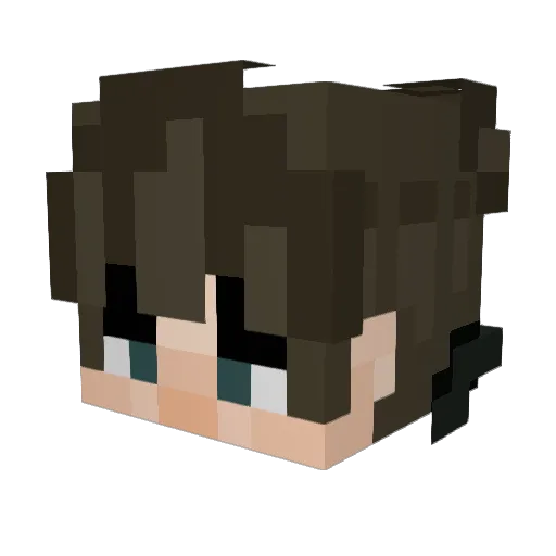 Tim_craft2 Minecraft avatar head, 3D render