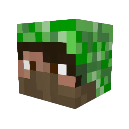 Tim_sn Minecraft avatar head, 3D render