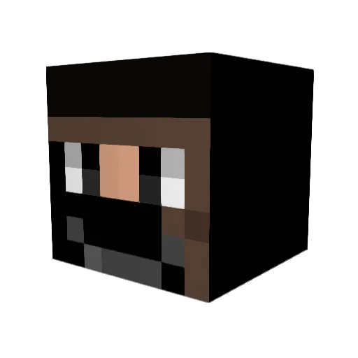 Tima2011 Minecraft avatar head, 3D render