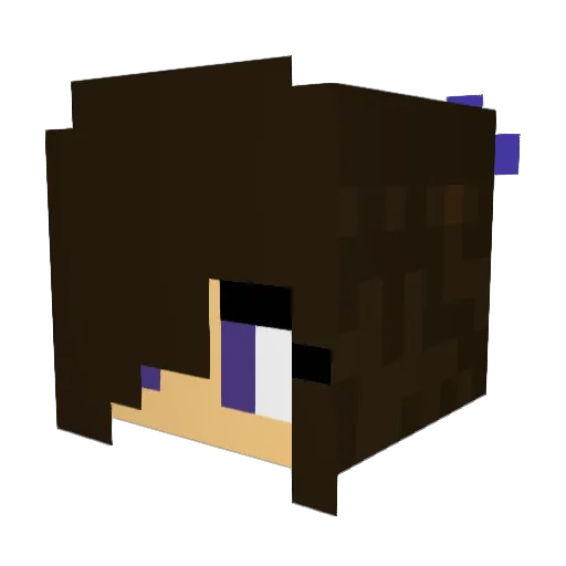 Timajojo1 Minecraft avatar head, 3D render
