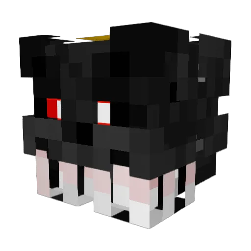Timak6 Minecraft avatar head, 3D render