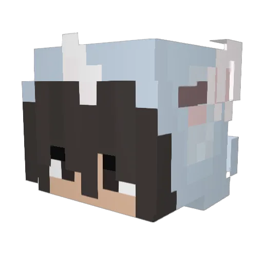 Timaki839 Minecraft avatar head, 3D render