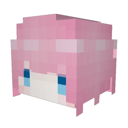 Timaokk Minecraft avatar head, 3D render