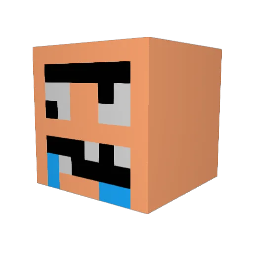 Timbeee Minecraft avatar head, 3D render