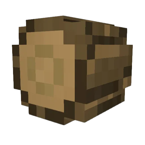 TimberEnthusiast Minecraft avatar head, 3D render