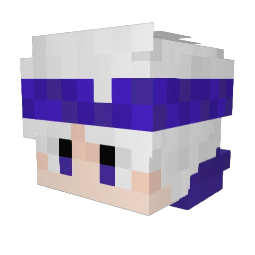 TimberFinn Minecraft avatar head, 3D render