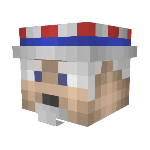 TimberFinz Minecraft avatar head, 3D render