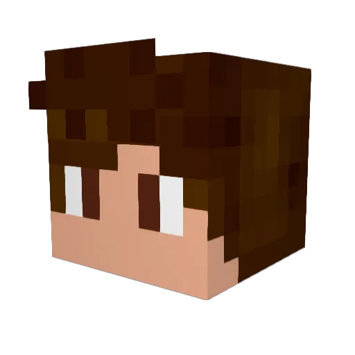 Timbilly Minecraft avatar head, 3D render