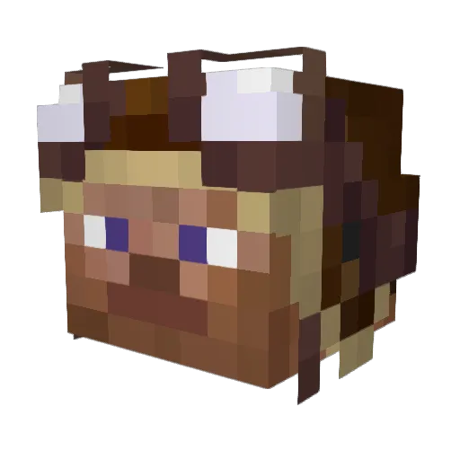 Timbim2007 Minecraft avatar head, 3D render