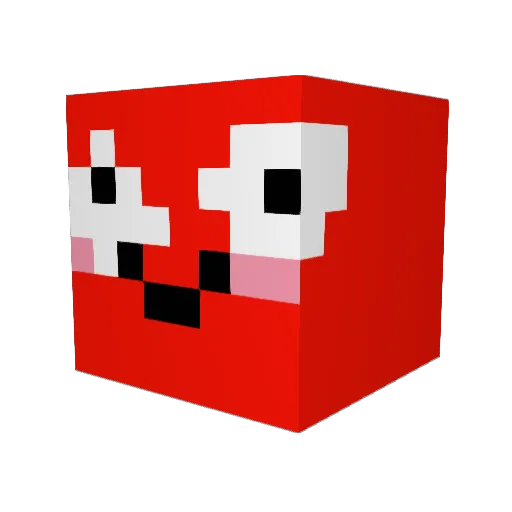 Timbo17 Minecraft avatar head, 3D render
