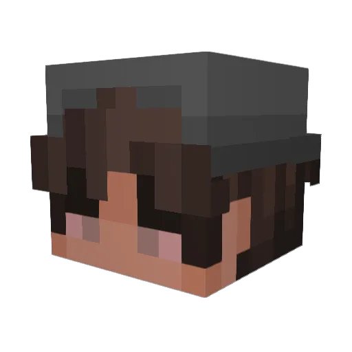 Timbo201312 Minecraft avatar head, 3D render