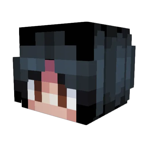 Timbo5 Minecraft avatar head, 3D render