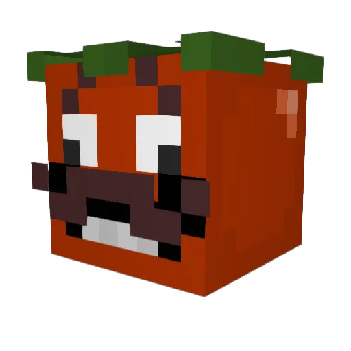 Timbo_Hannah112 Minecraft avatar head, 3D render