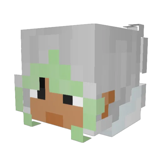 Timbothany Minecraft avatar head, 3D render