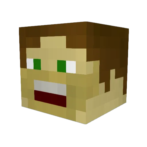 Timdog35 Minecraft avatar head, 3D render