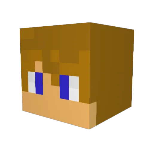 Timdudester88 Minecraft avatar head, 3D render