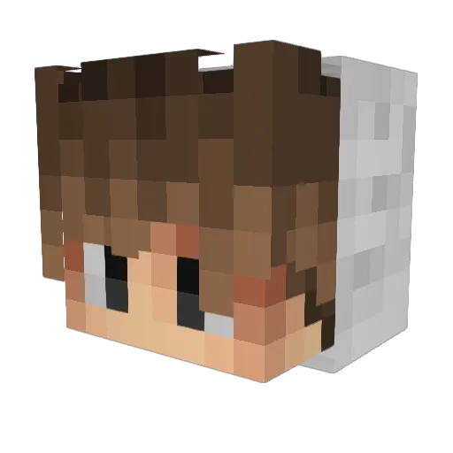 Time4Fly Minecraft avatar head, 3D render