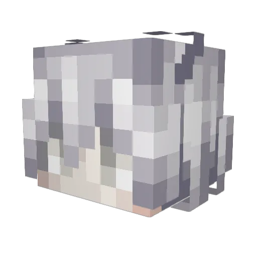TimeBOmb645 Minecraft avatar head, 3D render