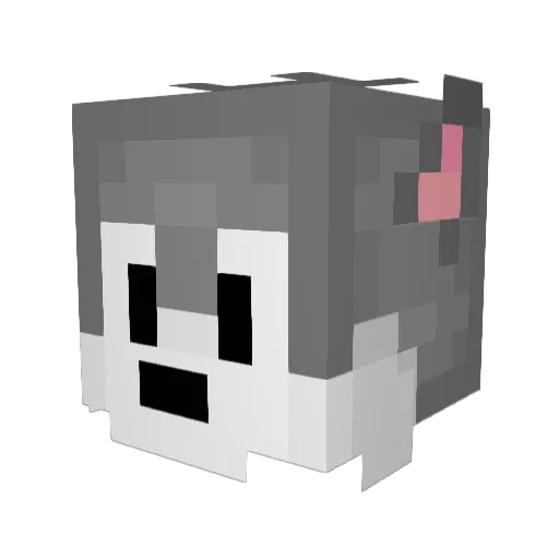 TimeFish7250824 Minecraft avatar head, 3D render