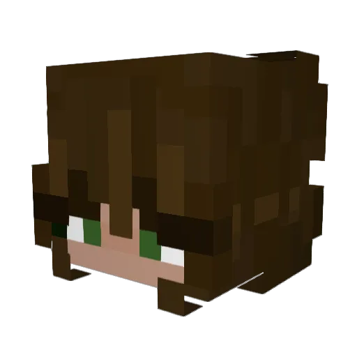 TimeForABreak Minecraft avatar head, 3D render