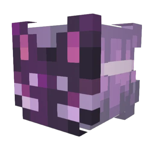 TimeFoxii Minecraft avatar head, 3D render
