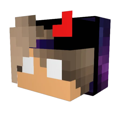 TimeLord_ Minecraft avatar head, 3D render
